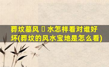 葬坟墓风 ☘ 水怎样看对谁好坏(葬坟的风水宝地是怎么看)